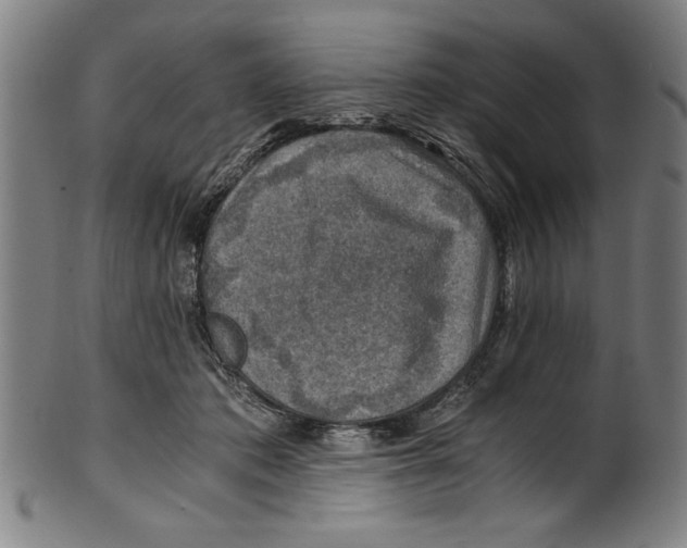 X0000100900413200807220956