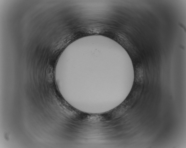 X0000100900414200807220956