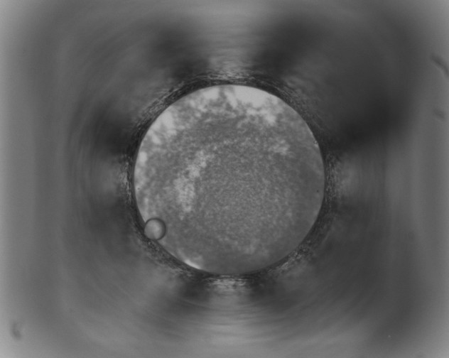 X0000100900415200807220956