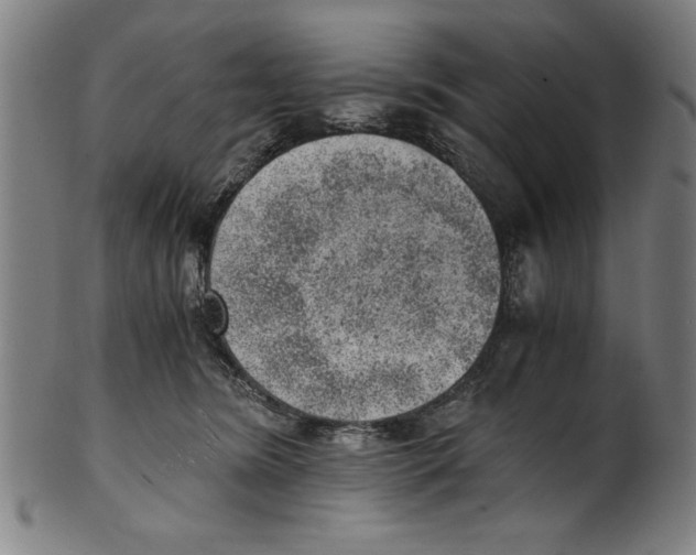 X0000100900420200807220956