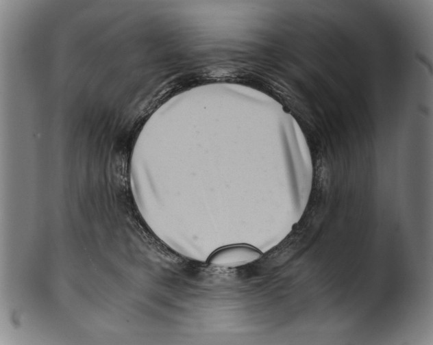 X0000100900421200807220956