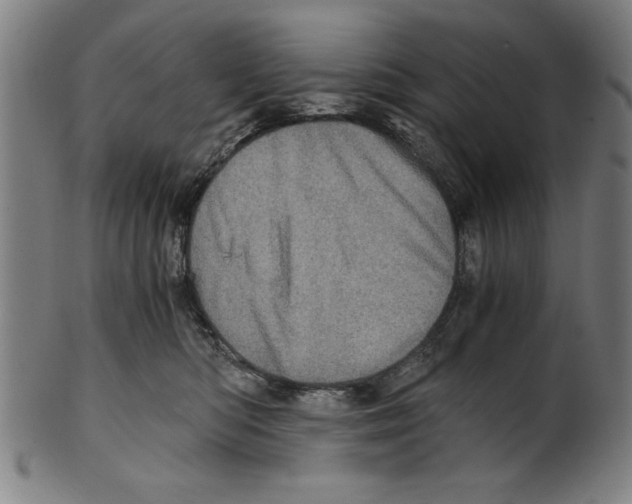 X0000100900422200807220956