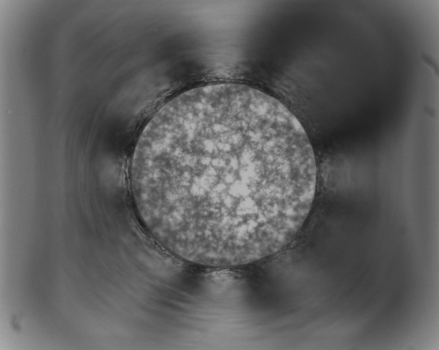 X0000100900423200807220956