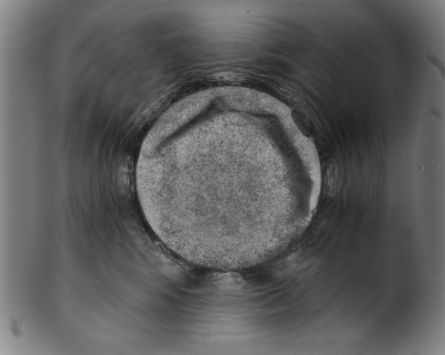 X0000100900424200807220956