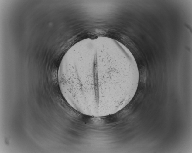 X0000100900425200807220956