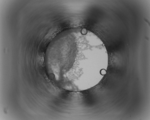 X0000100900427200807220956