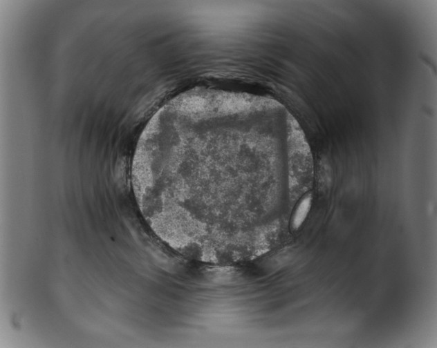 X0000100900428200807220956