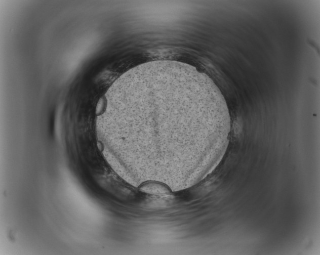 X0000100900429200807220956