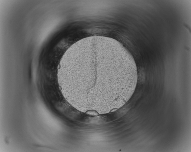 X0000100900430200807220956