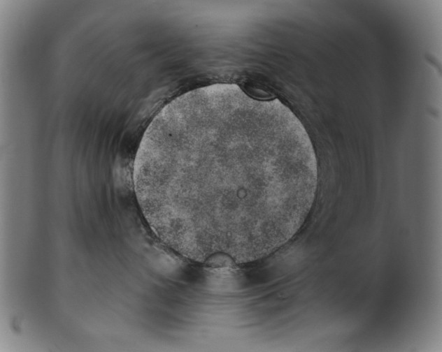 X0000100900432200807220956