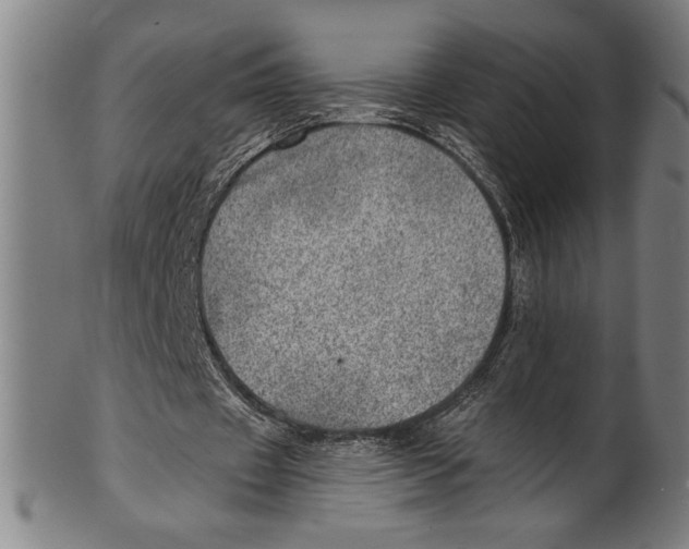 X0000100900433200807220955