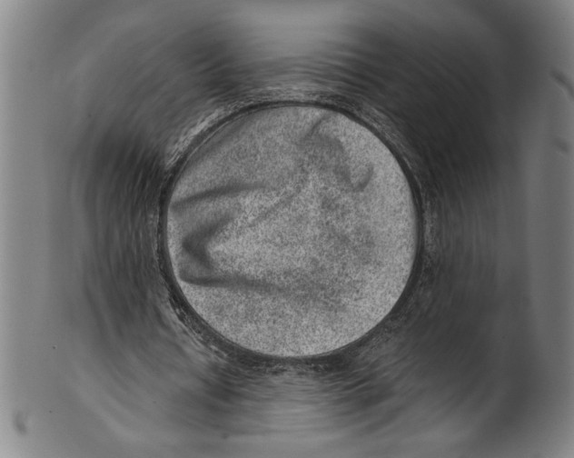 X0000100900434200807220955