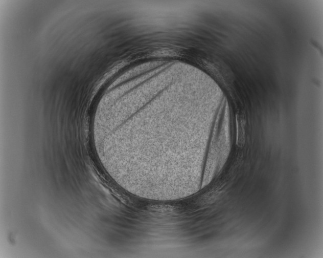 X0000100900435200807220955