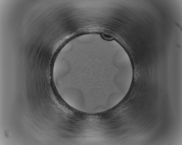 X0000100900438200807220955