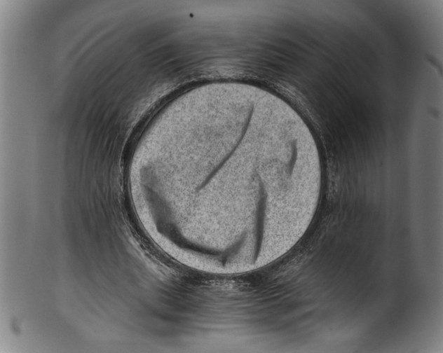 X0000100900439200807220955