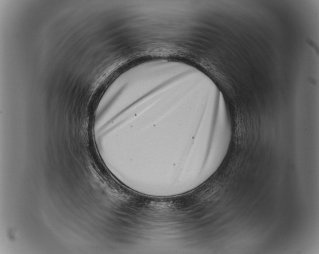 X0000100900440200807220955