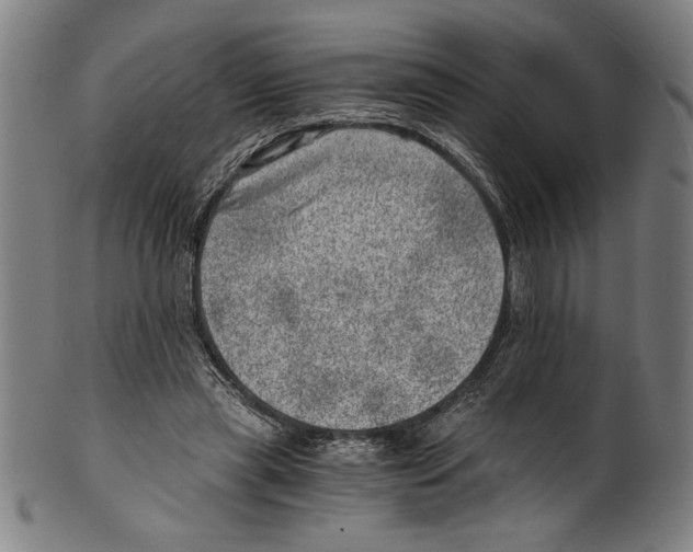 X0000100900445200807220955