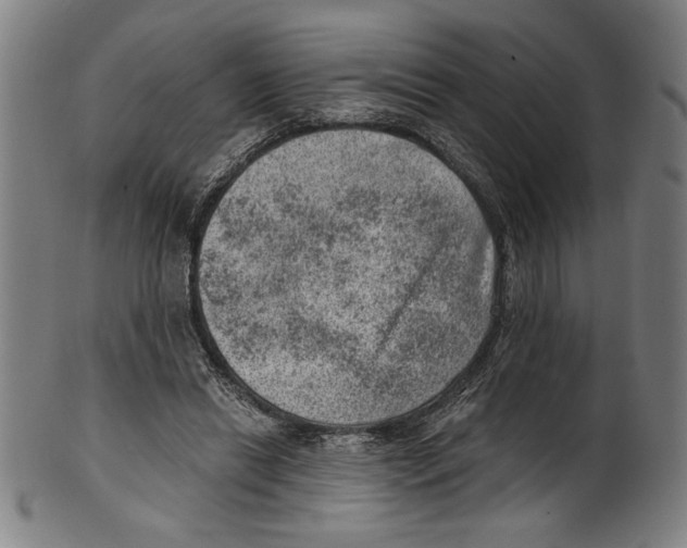 X0000100900446200807220955