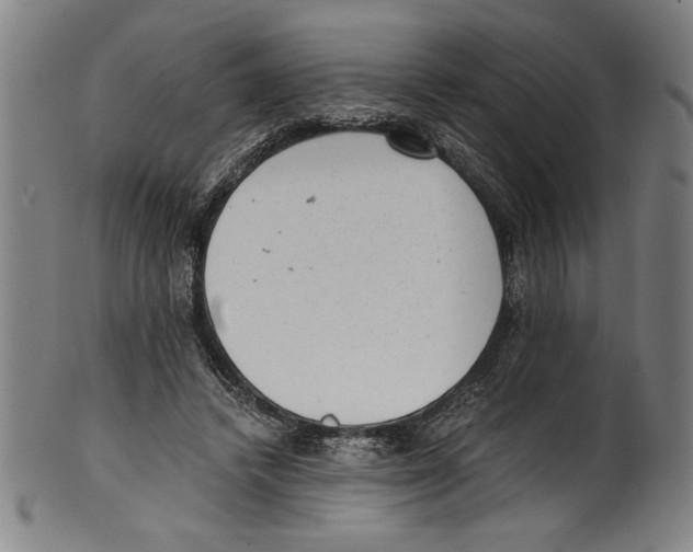 X0000100900448200807220955