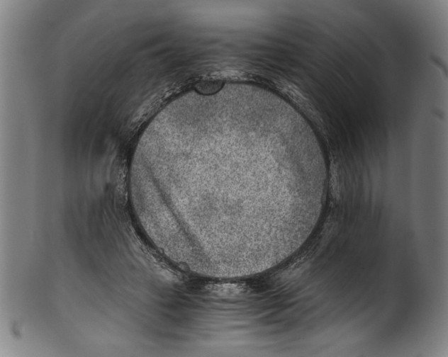 X0000100900449200807220955