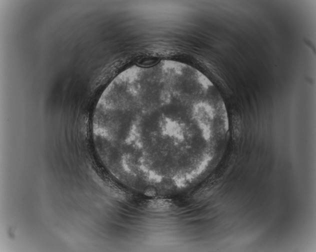 X0000100900451200807220955