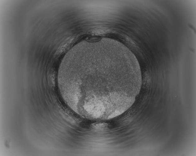 X0000100900452200807220955