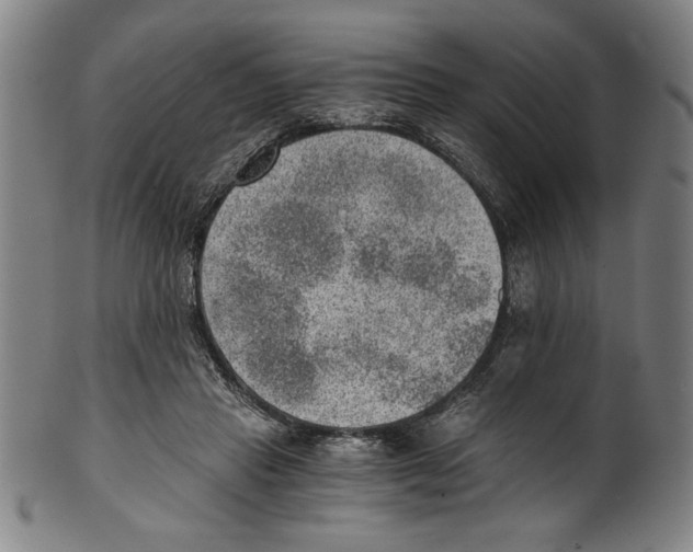 X0000100900453200807220955