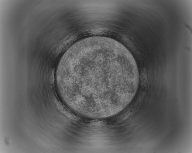 X0000100900454200807220955