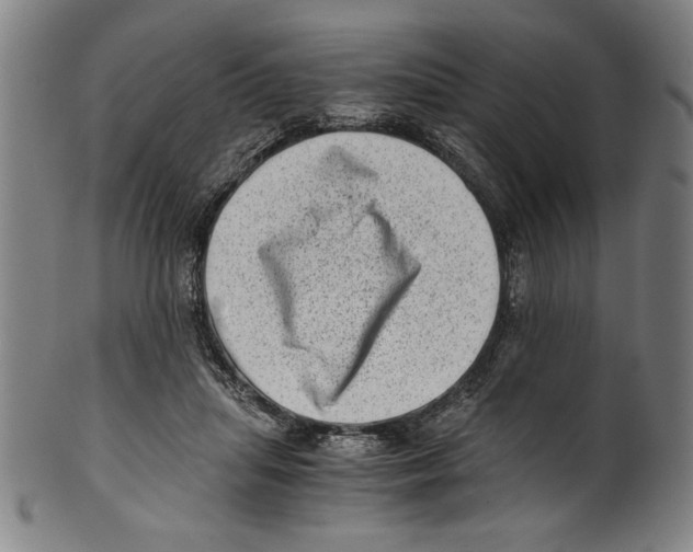 X0000100900455200807220955