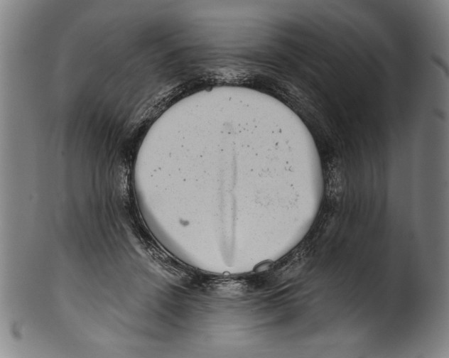 X0000100900456200807220955