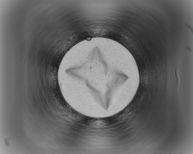 X0000100900460200807220956