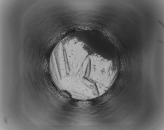 X0000100900465200807220956