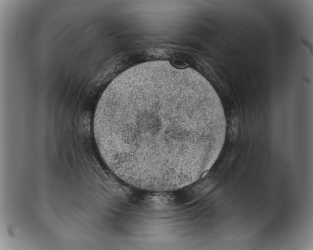 X0000100900466200807220956