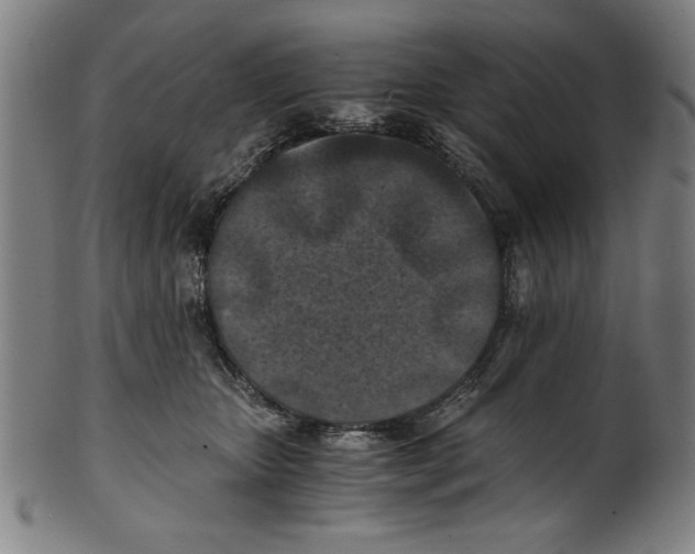 X0000100900467200807220956