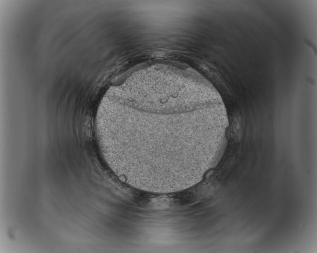 X0000100900470200807220956