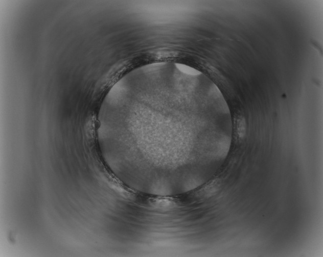 X0000100900475200807220956