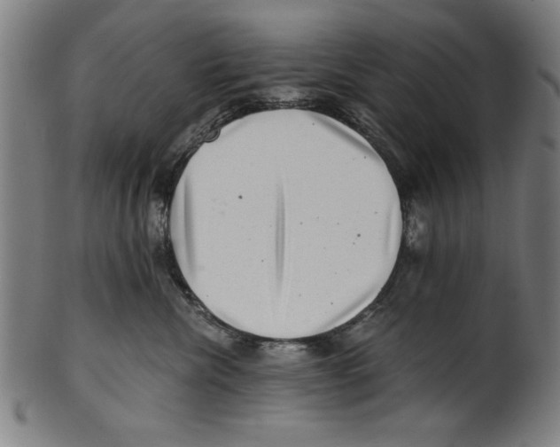 X0000100900476200807220956