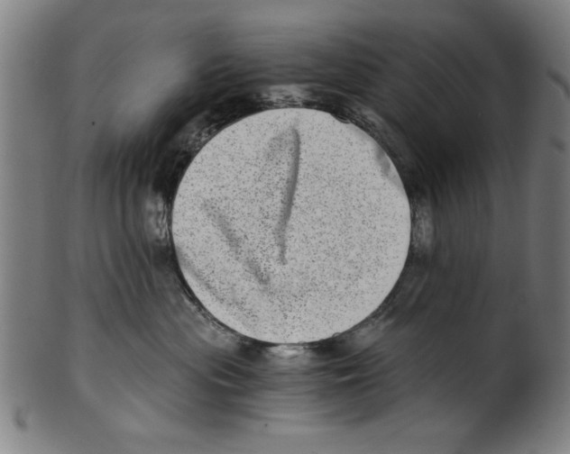 X0000100900477200807220956