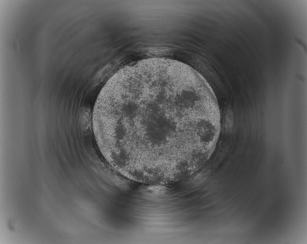 X0000100900478200807220956