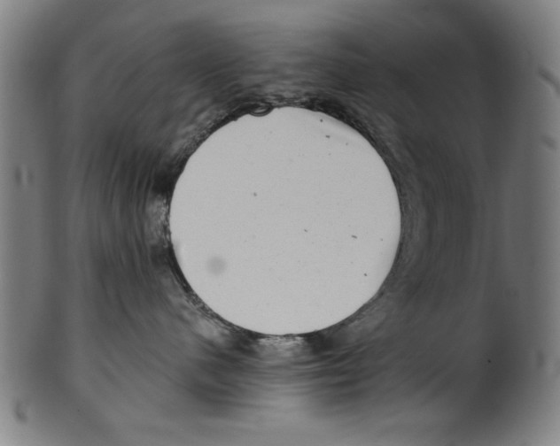 X0000100900480200807220956