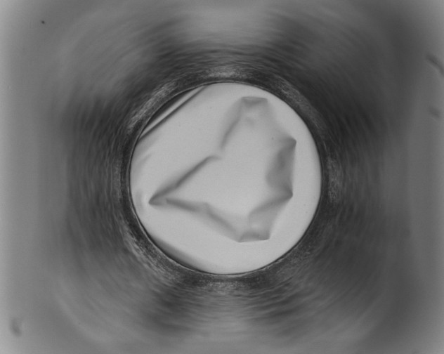 X0000100900482200807220955