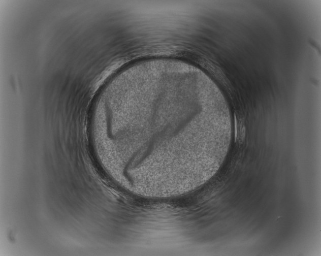 X0000100900483200807220955