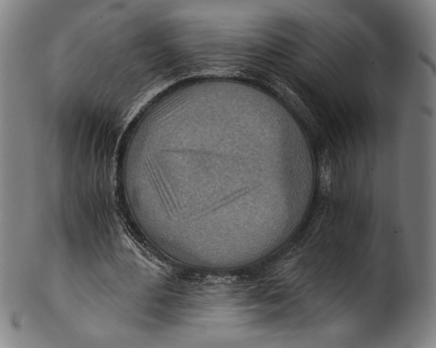 X0000100900484200807220955