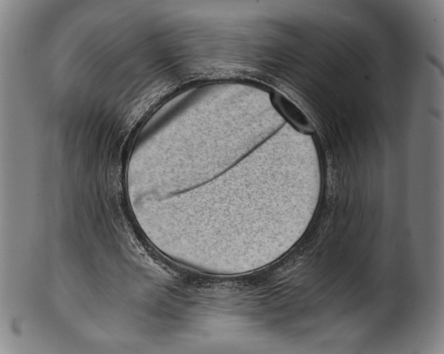 X0000100900485200807220955