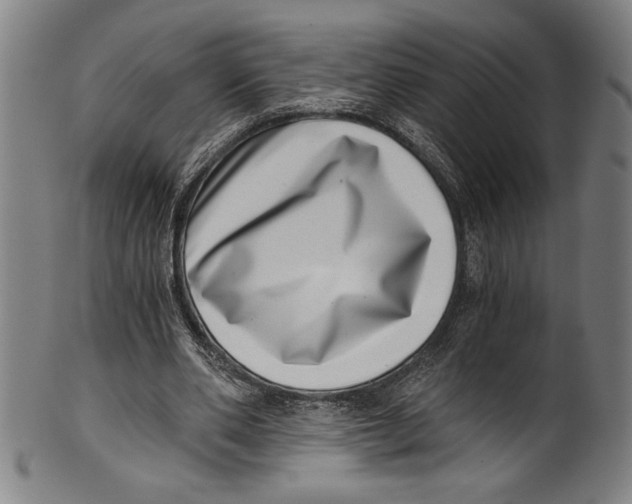 X0000100900486200807220955