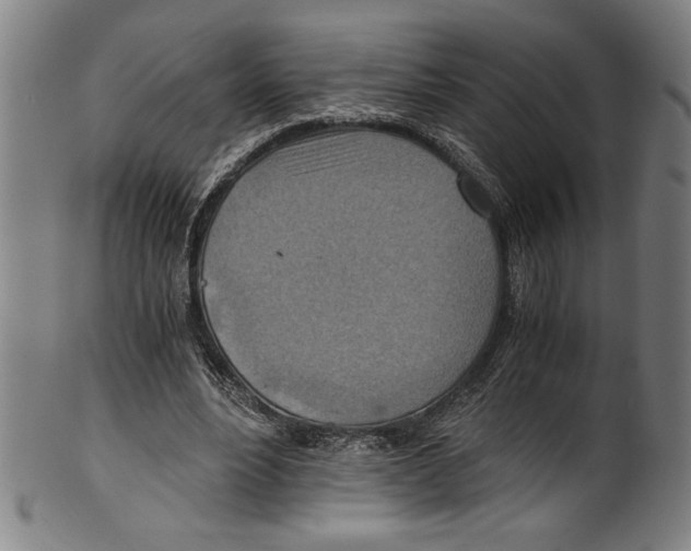 X0000100900488200807220955