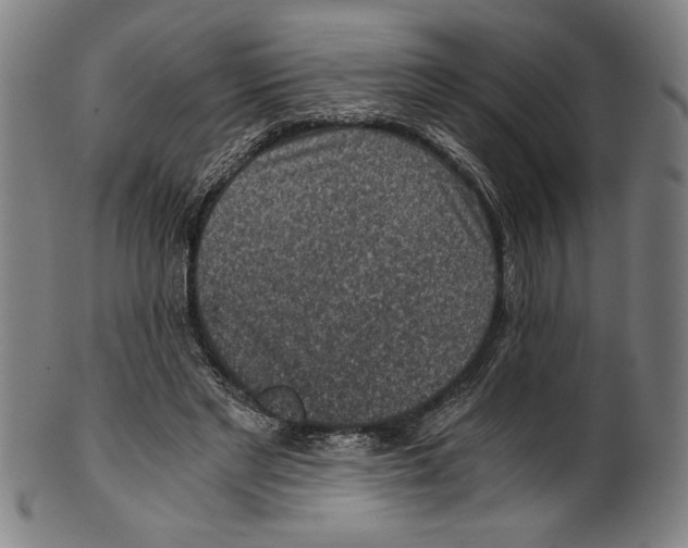 X0000100900493200807220955