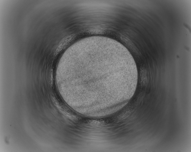 X0000100900494200807220955