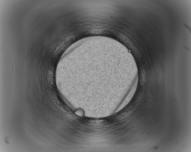 X0000100900497200807220955