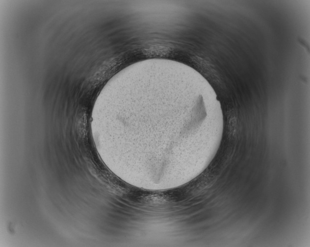 X0000100900498200807220955